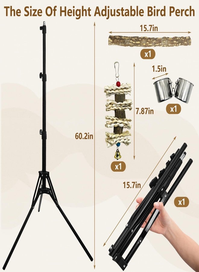 kathson 28-60inches Height Adjustable Bird Perch, Pepperwood Parrot Perch Stand with Feeding Cup, Multi-Purpose Bird Perches for Indoor and Outdoor Use, Designed for Small Medium Birds (3 PCS) - Image 2